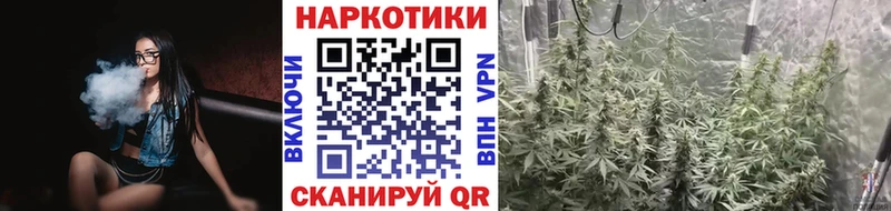 Купить Псилоцибиновые грибы Меф ГАШ Каннабис Сергач